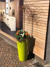 maerzenmarkt03